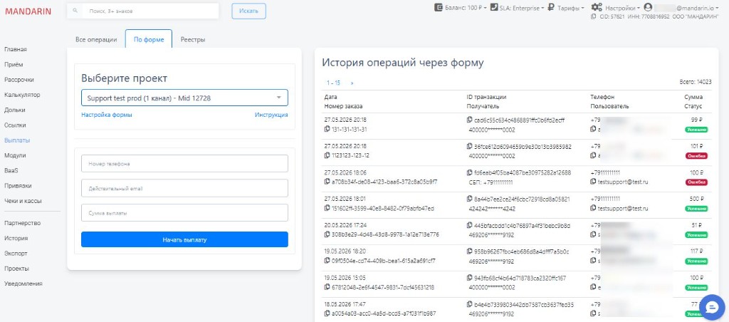 Форма выплаты: сумма, дополнительные поля и лимит проекта