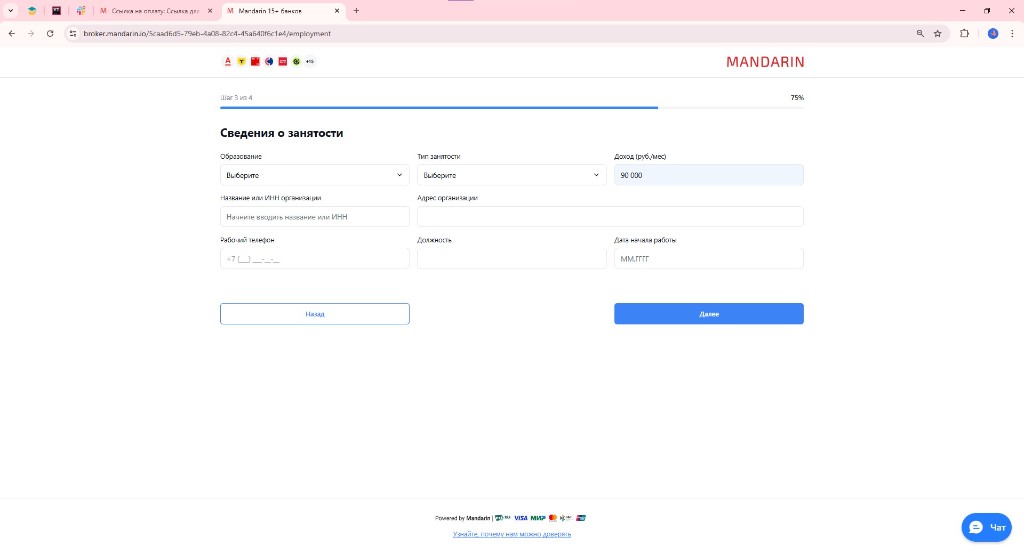 Сведения о занятости, шаг 3 из 4