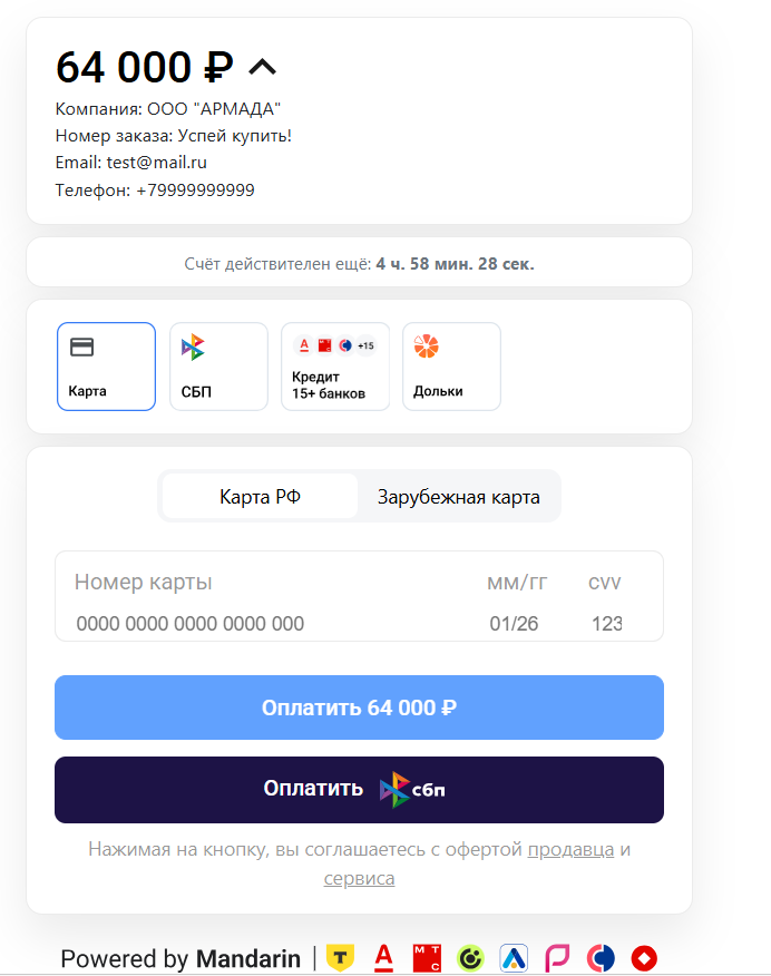 Таймер счета на странице оплаты